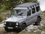 Mercedes-Benz G300 CDI Professional 2010 года